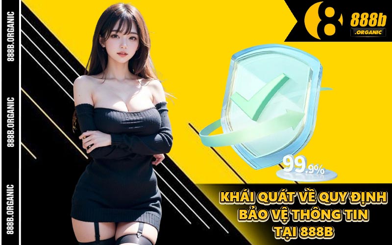 Khái Quát Về Quy Định Bảo Vệ Thông Tin Tại 888B