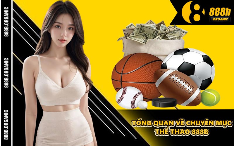 Tổng Quan Về Chuyên Mục Thể Thao 888B