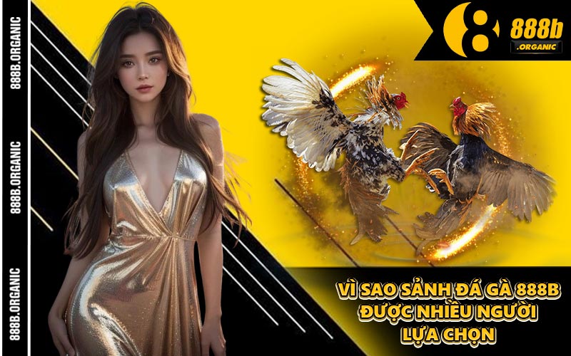 Vì Sao Sảnh Đá Gà 888B Được Nhiều Người Lựa Chọn