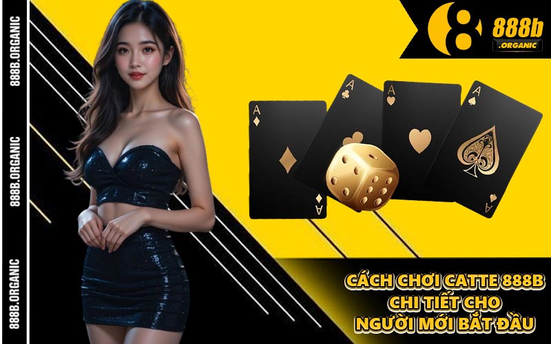 Cách Chơi Catte 888B Chi Tiết Cho Người Mới Bắt Đầu